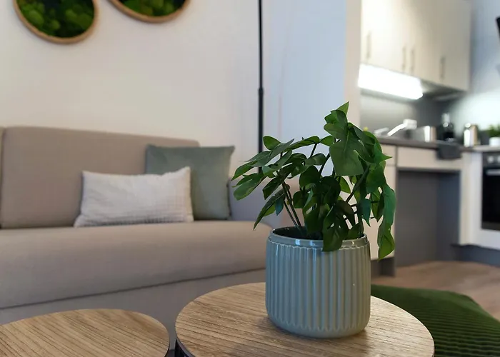 Design Apartments Erfurt City - Terrasse - Streaming - Privatparkplatz - Klinikum - Uni - Zentral
