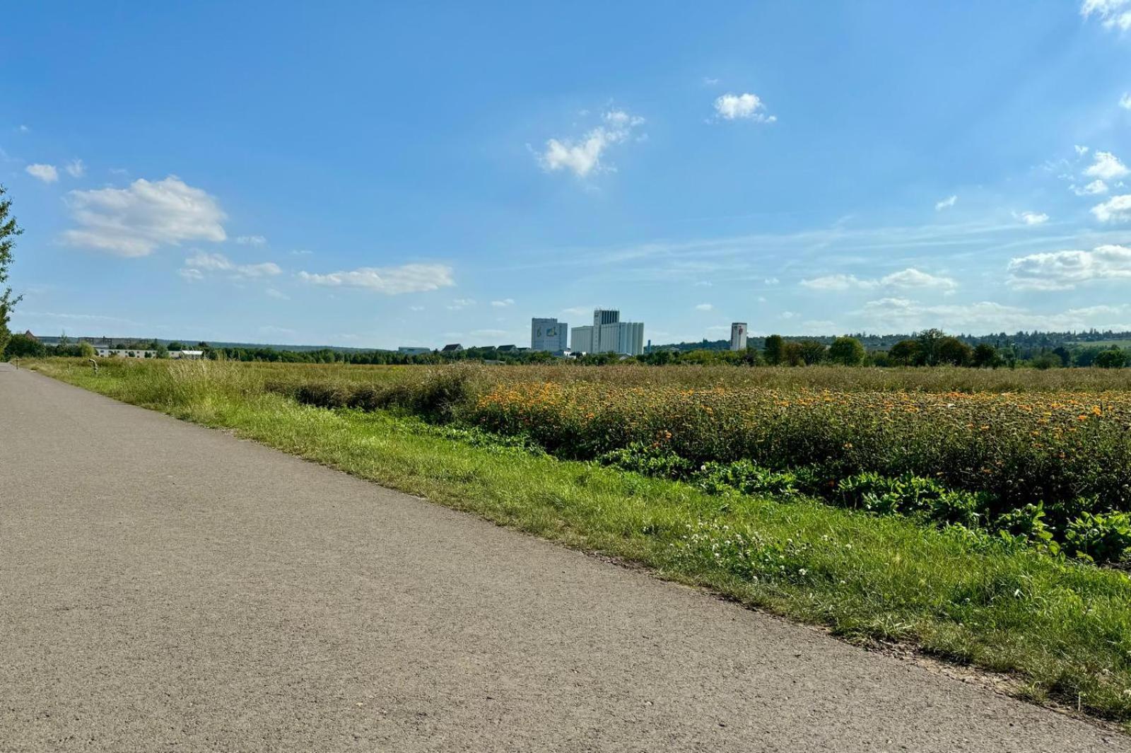 Design - Terrasse - Streaming - Privatparkplatz - Klinikum - Uni - Zentral *