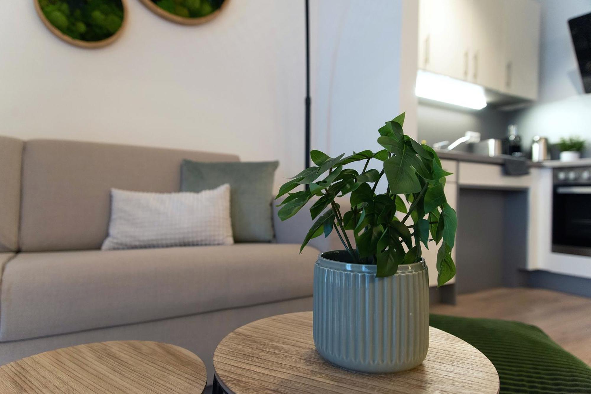 Design - Terrasse - Streaming - Privatparkplatz - Klinikum - Uni - Zentral *